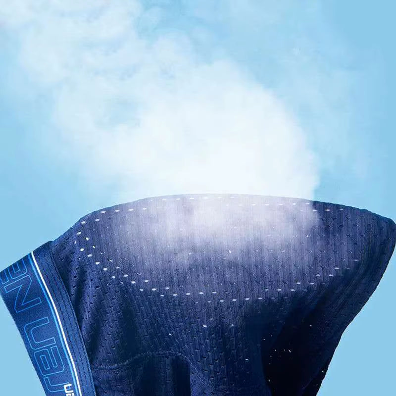 4Pcs Men'S Boxer Shorts Ice Silk Underwear plus Size Underpants Cool Breathable Sexy Slim Panties Mesh Lingerie Wholesale Lots
