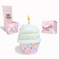 Birthday Cupcake Socks with Gift Box Surprise