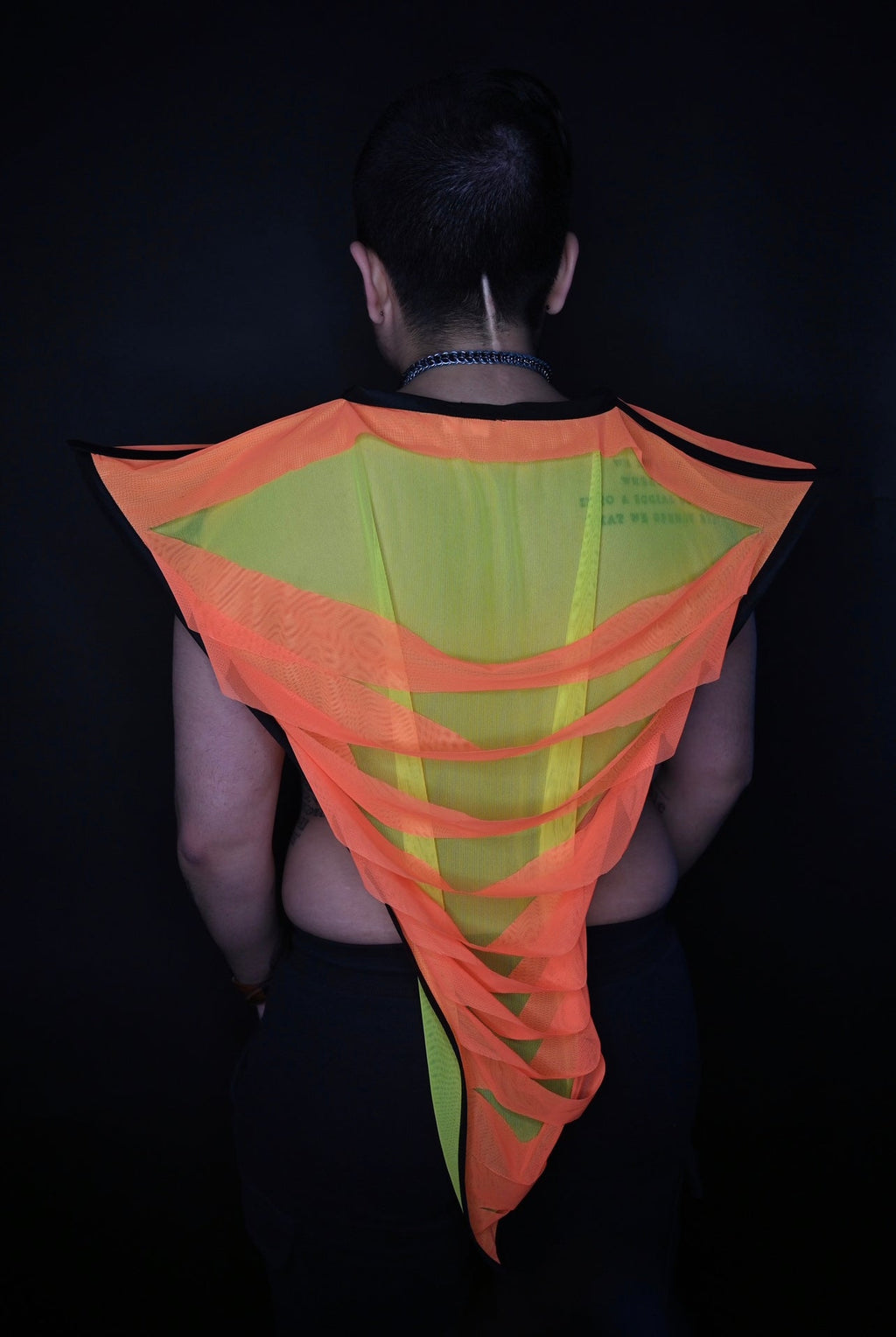 Shredded Vee Final Markdown!