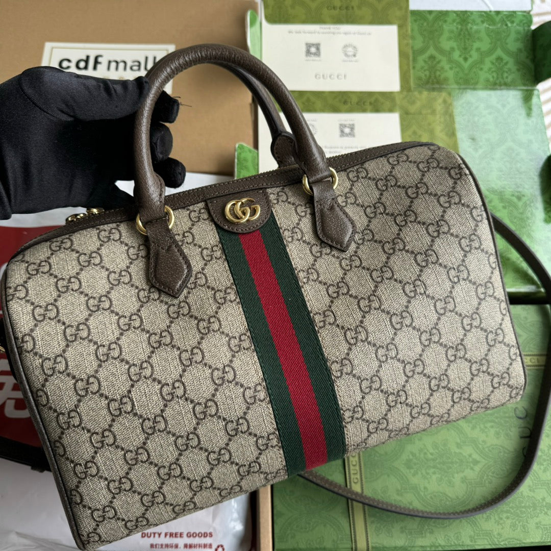 Gucci Ophidia Bag Beige mix Brown Canvas 240085