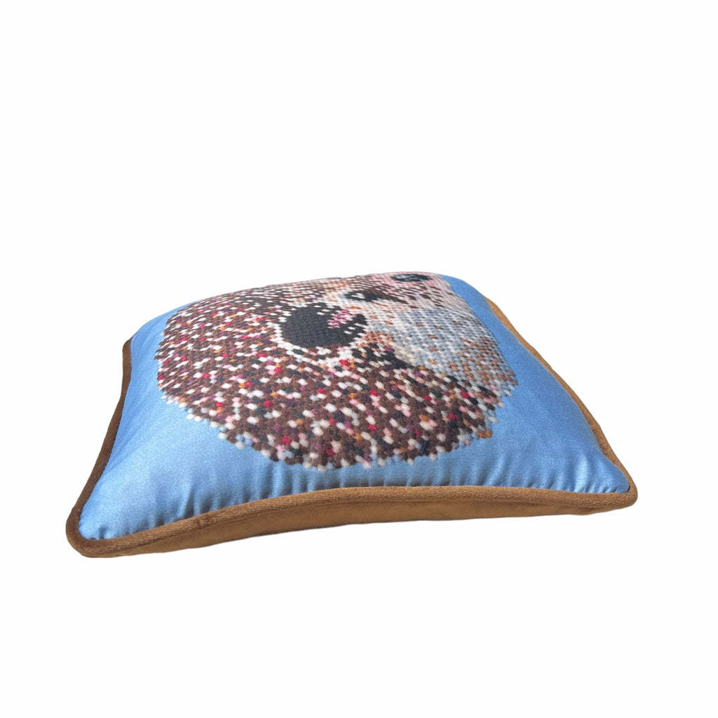 HARRIS THE HEDGEHOG