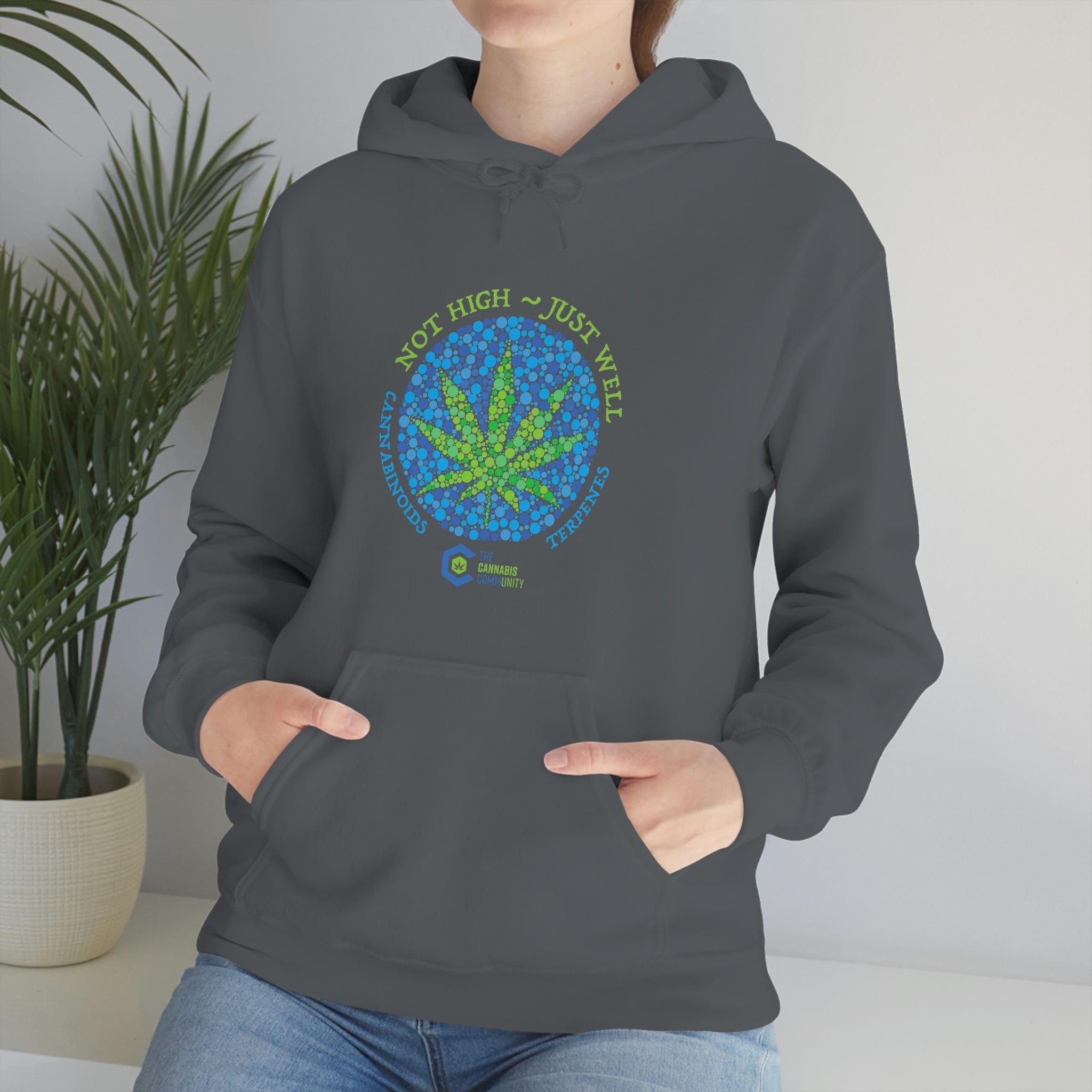 Not High, Just Well Cannabis Hoodies