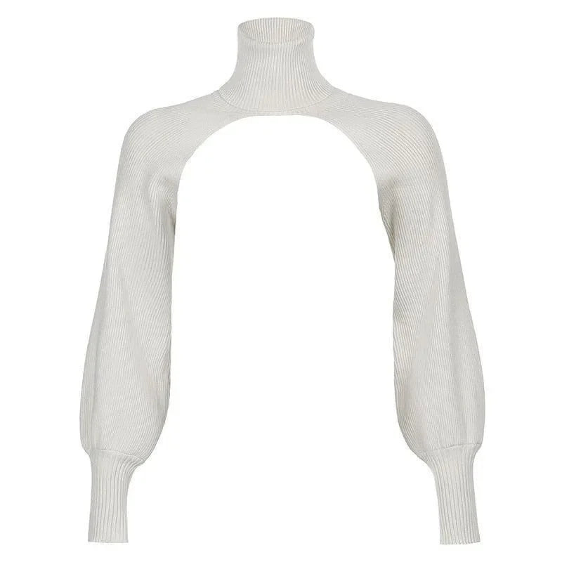 Romana Knitted Turtleneck Crop Top Sweater