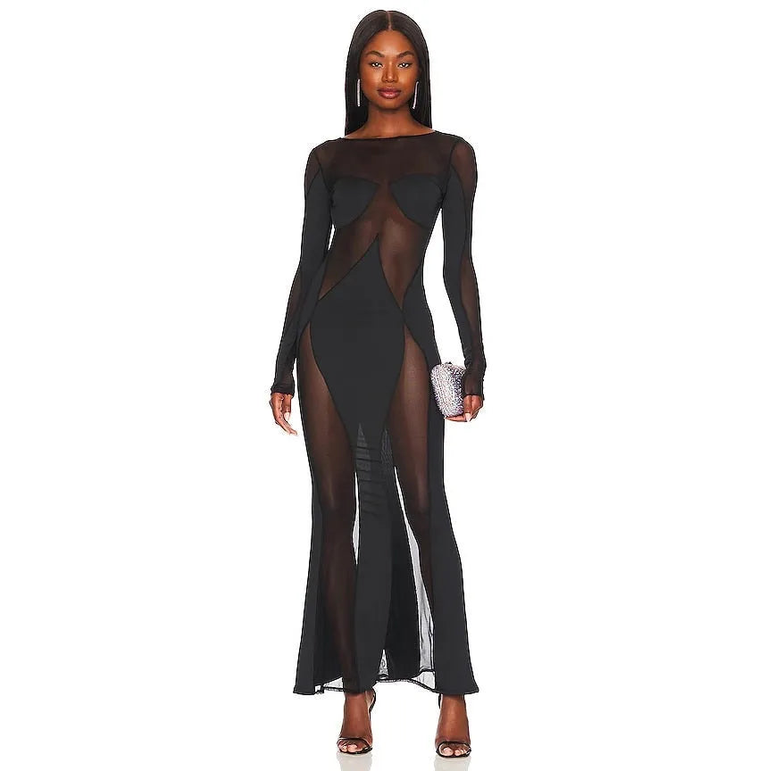 Siena Long Sleeve Mesh Maxi Dress