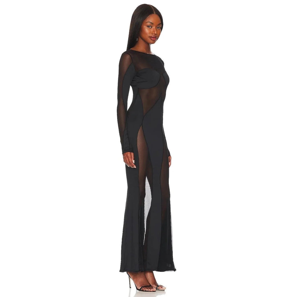 Siena Long Sleeve Mesh Maxi Dress