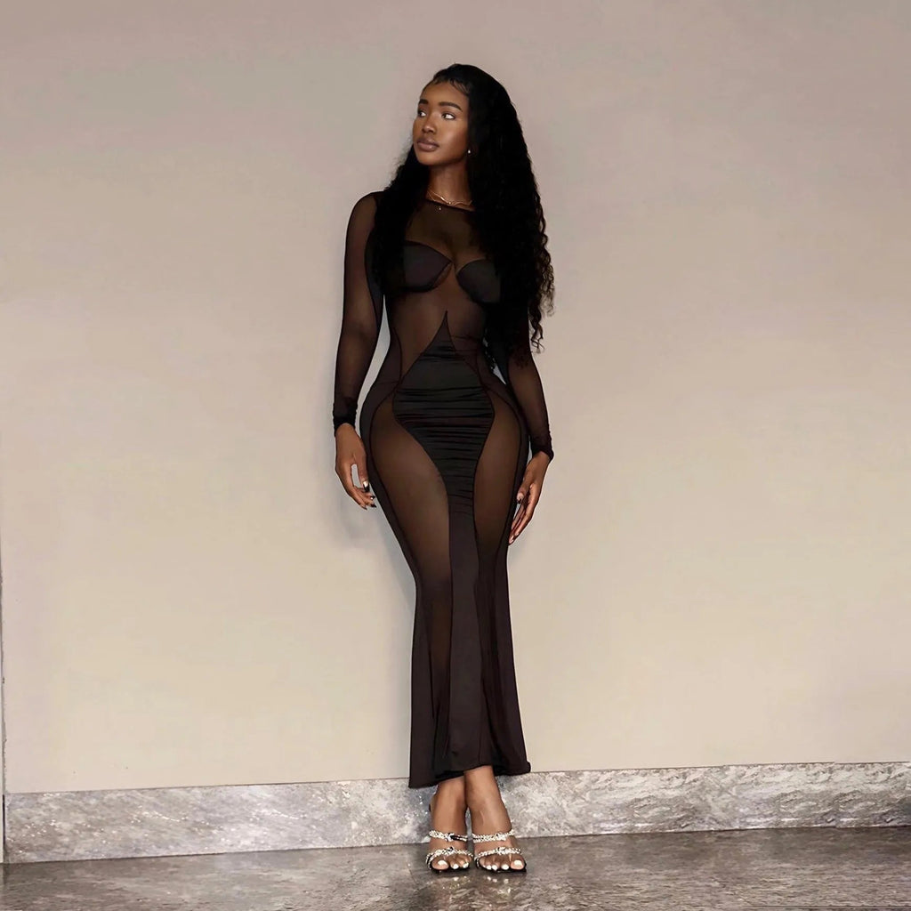Siena Long Sleeve Mesh Maxi Dress