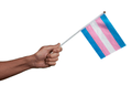 Rectangle Transgender Flag Pins