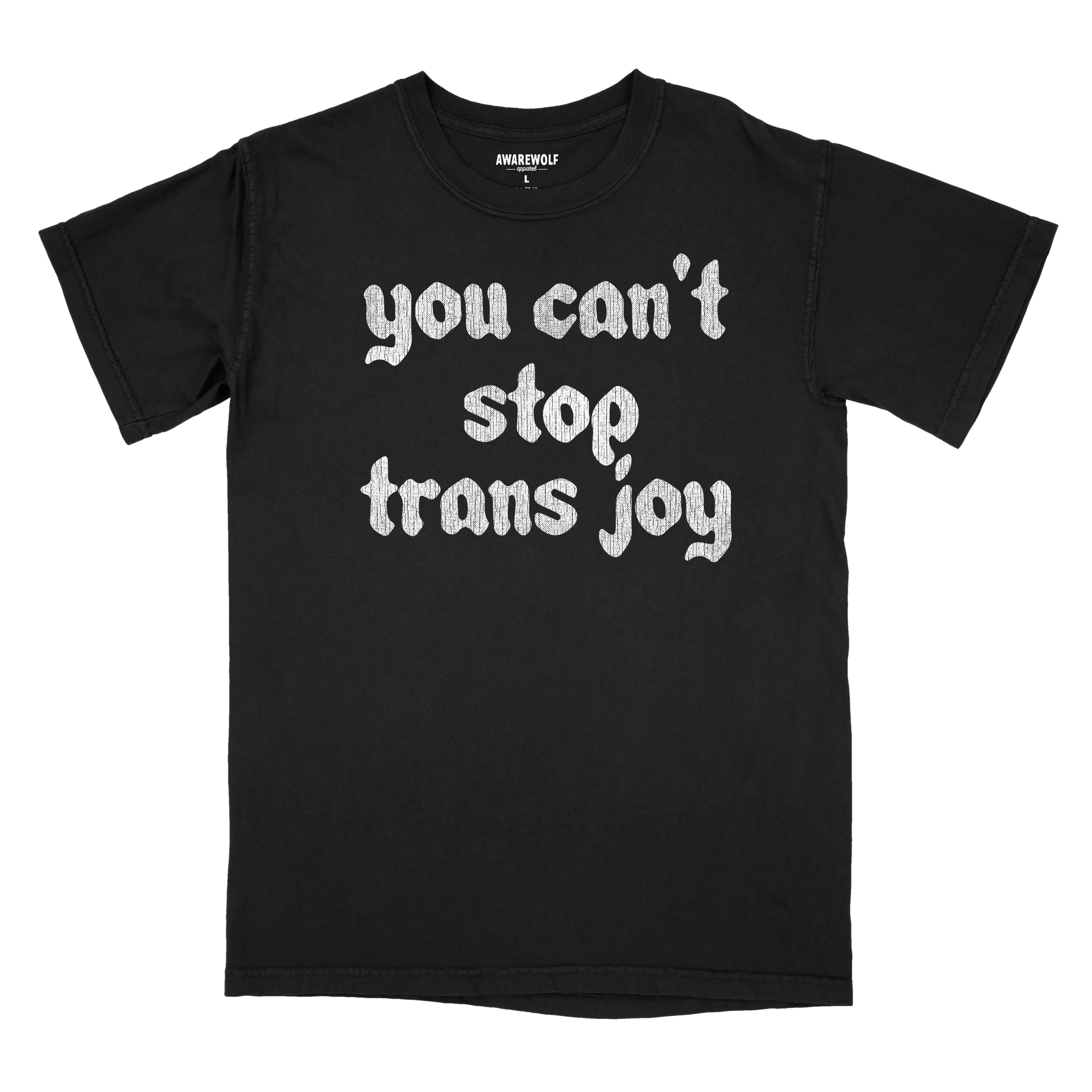 You Can't Stop Trans Joy