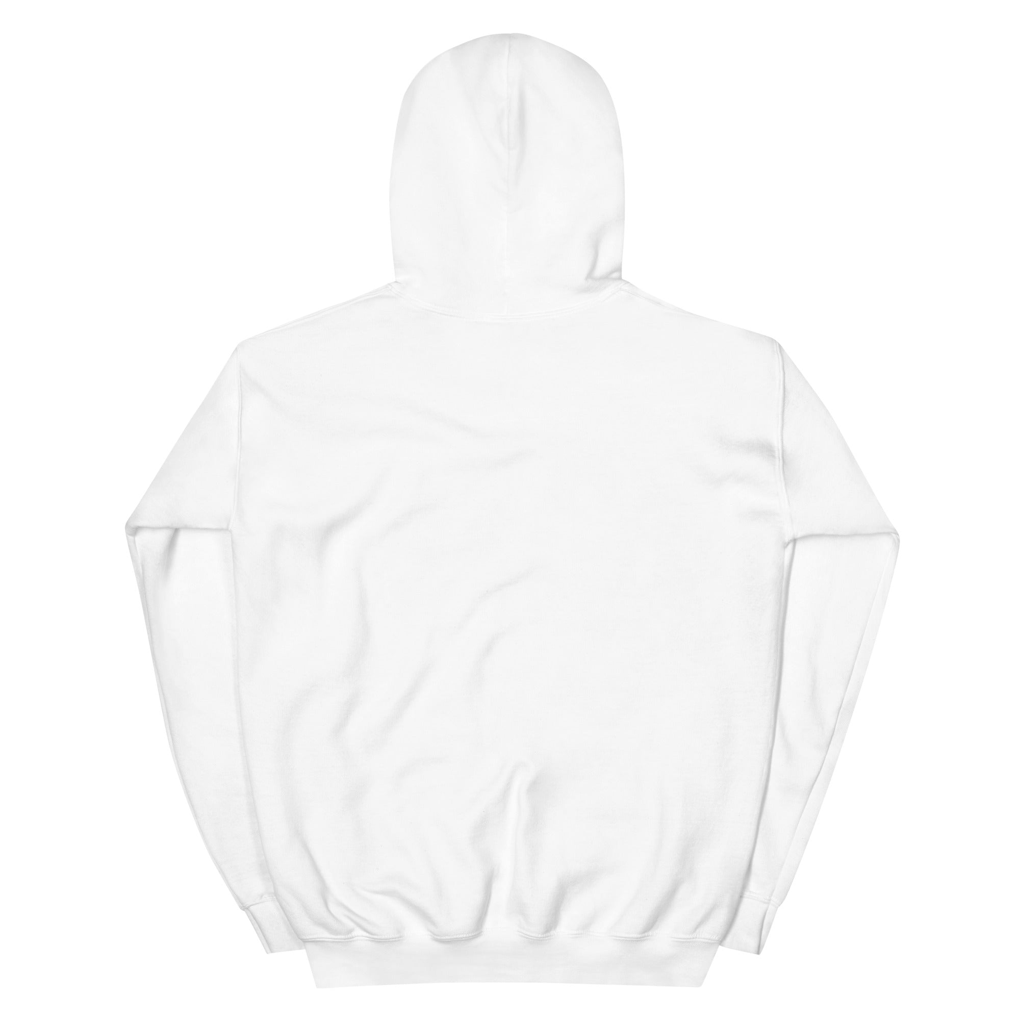 Thank God I’m Bi unisex hoodie