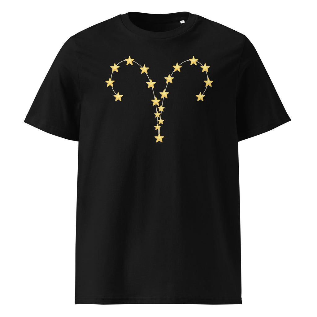 Aries Organic Cotton T-Shirt