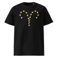 Aries Organic Cotton T-Shirt