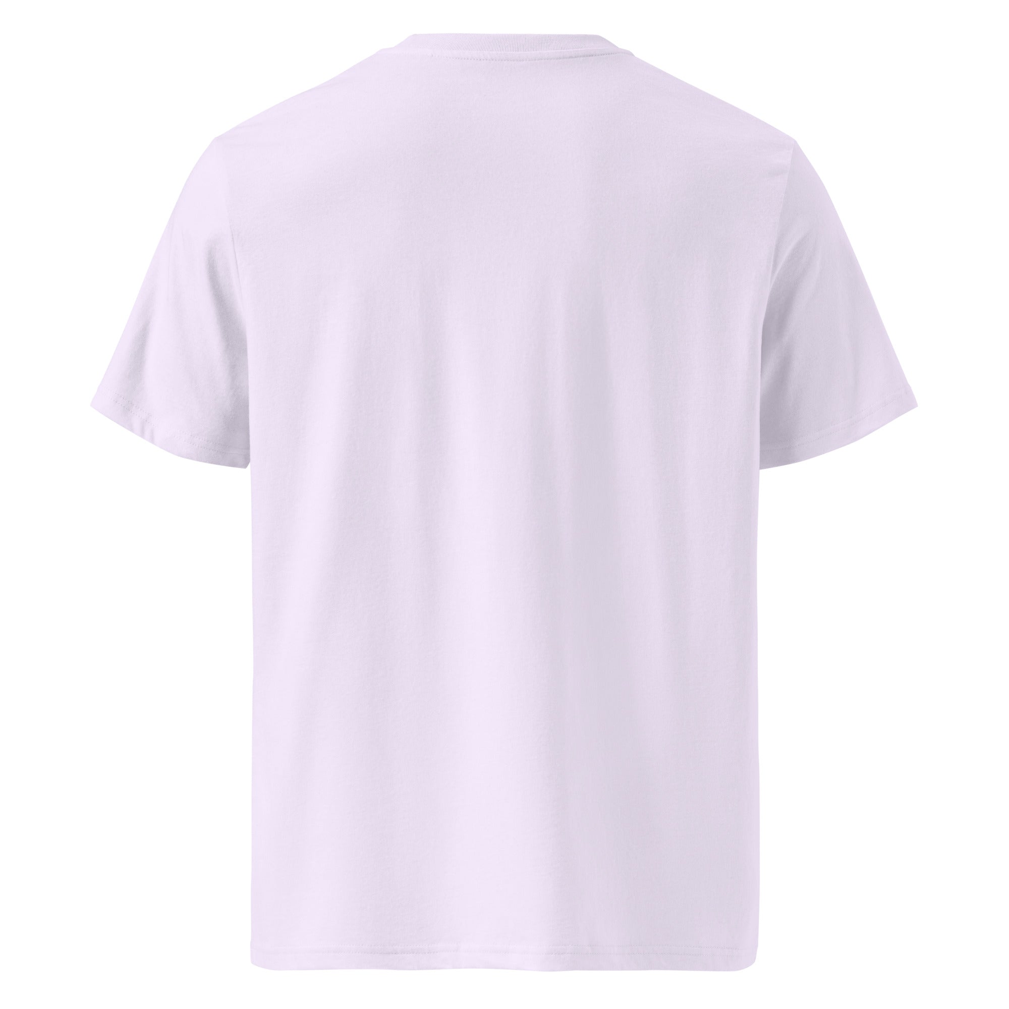 Aries Organic Cotton T-Shirt