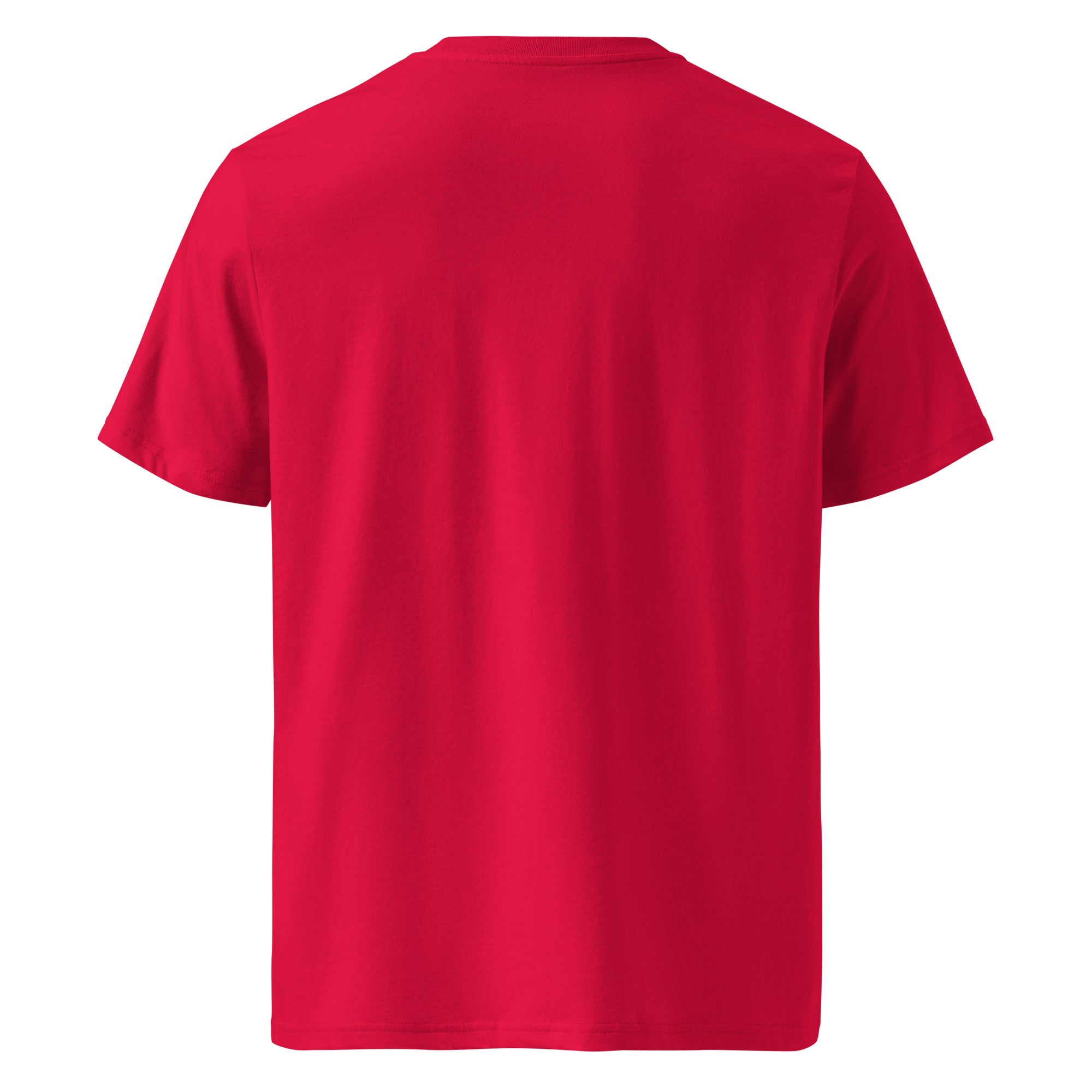 Aries Organic Cotton T-Shirt