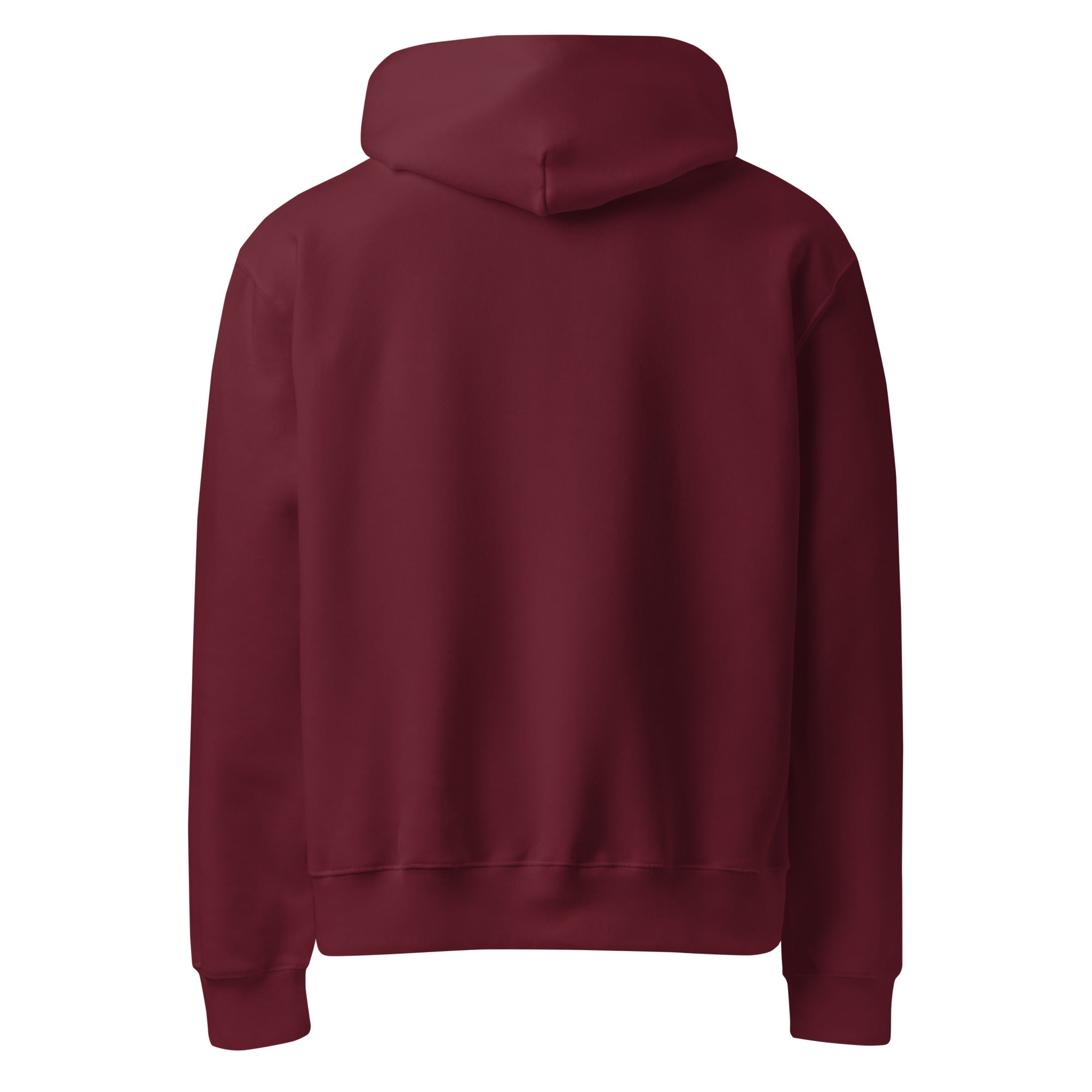 Divine Spiral Oversized Heavyweight Hoodie