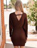 BERRY STRIPE SWEATER MINI DRESS