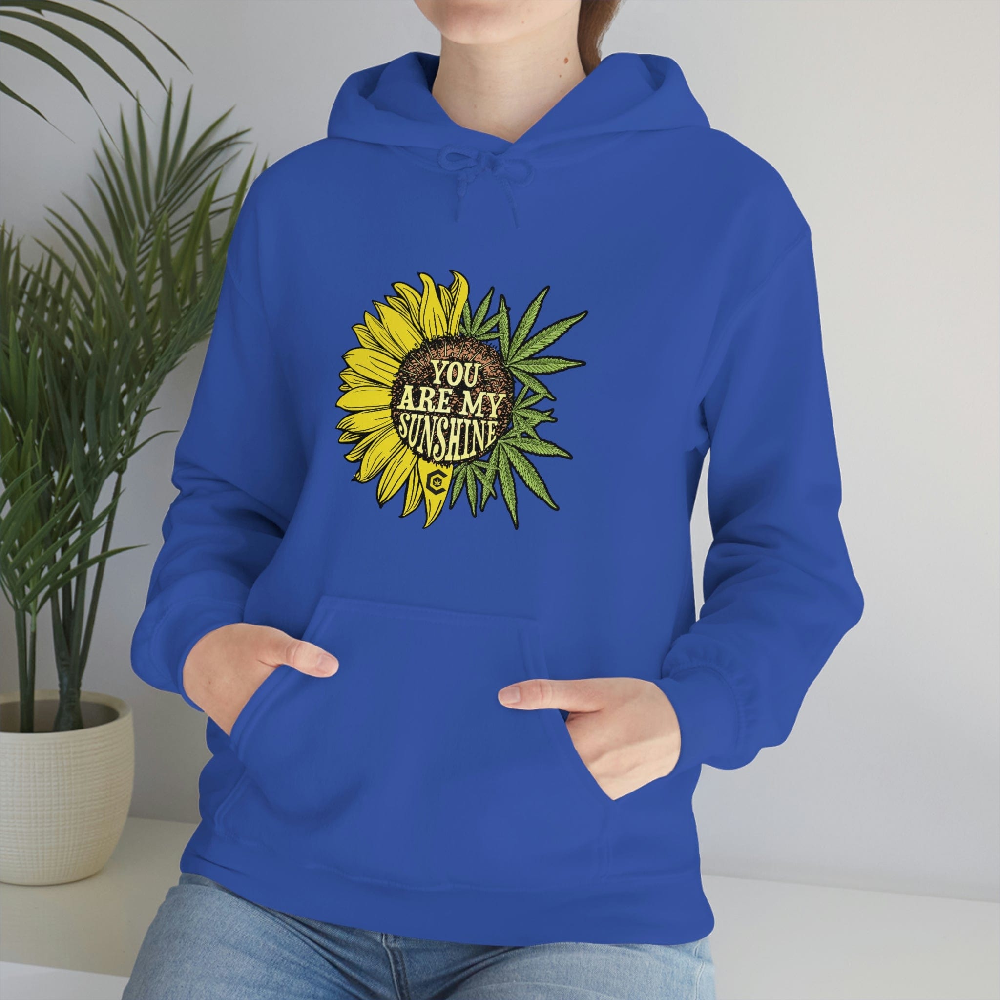 You Are My Sunshine Weed Hoodies