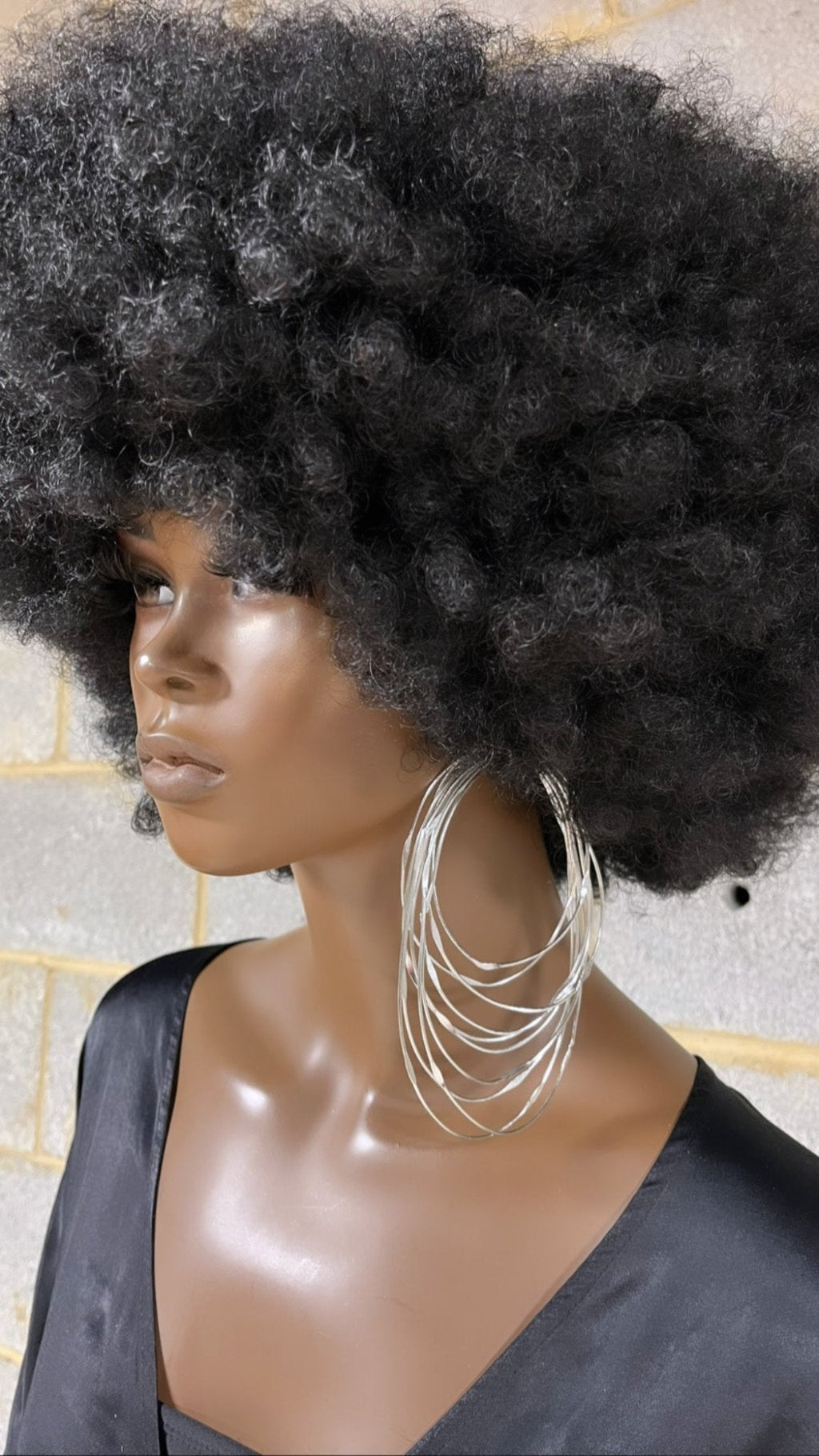 Zamunda Multi-loop Earrings